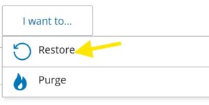 'I want to...' button with the 'Restore' and 'Purge' options displayed.